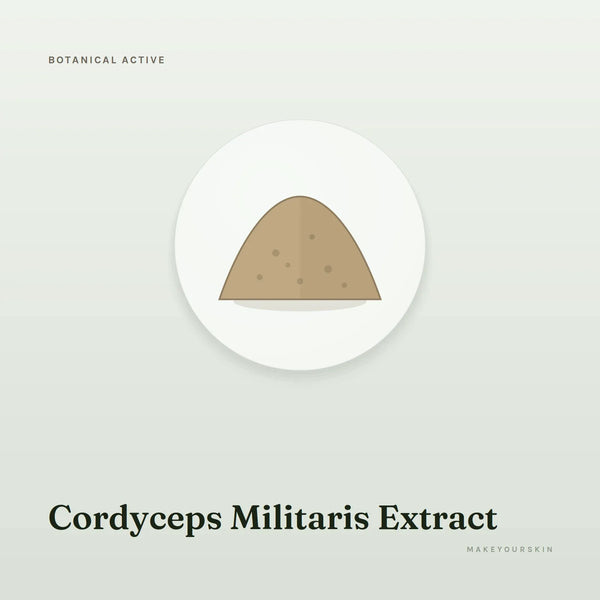 Cordyceps Militaris Extract — powder, Global — MakeYourSkin