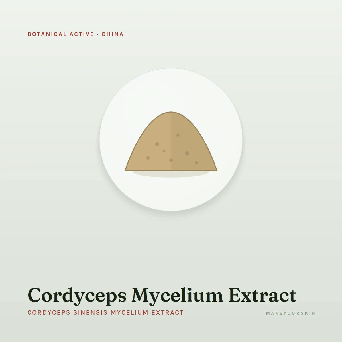 Cordyceps Mycelium Extract (Cordyceps Sinensis Mycelium Extract) — powder, China · TCM — MakeYourSkin