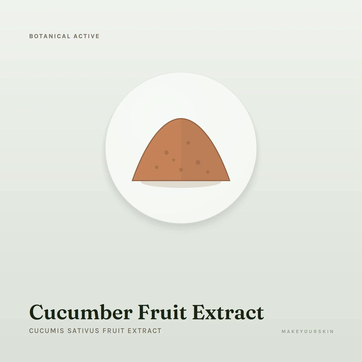 Cucumber Fruit Extract (Cucumis Sativus Fruit Extract) — powder, Global — MakeYourSkin