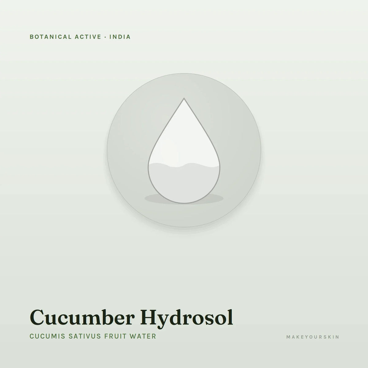 Cucumber Hydrosol (Cucumis Sativus Fruit Water) — liquid, India · Ayurveda — MakeYourSkin
