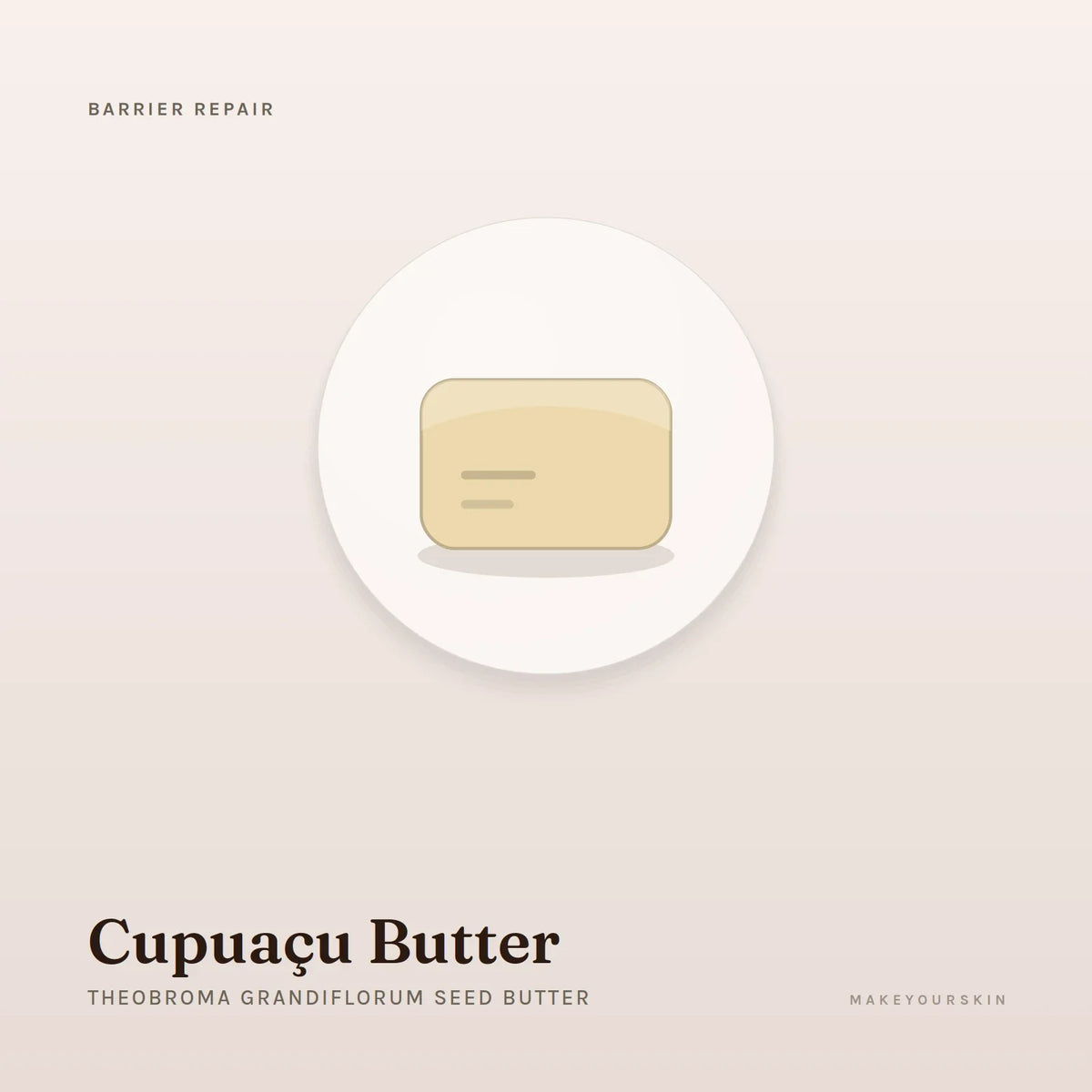 Cupuaçu Butter (Theobroma Grandiflorum Seed Butter) — butter, Global — MakeYourSkin