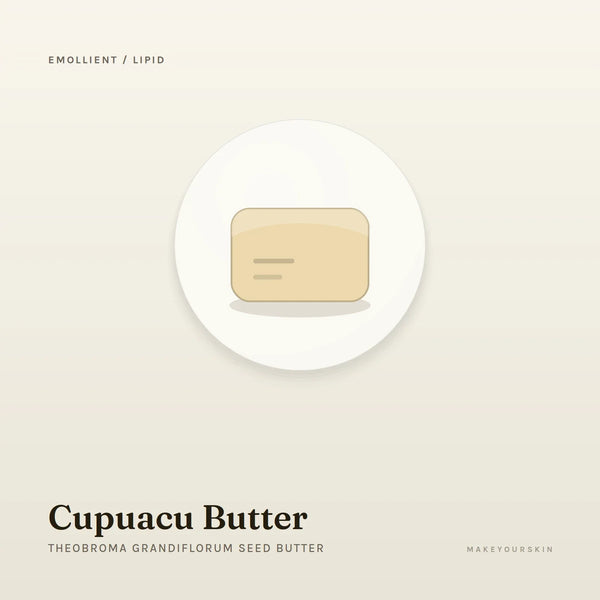 Cupuacu Butter (Theobroma Grandiflorum Seed Butter) — butter, Global — MakeYourSkin