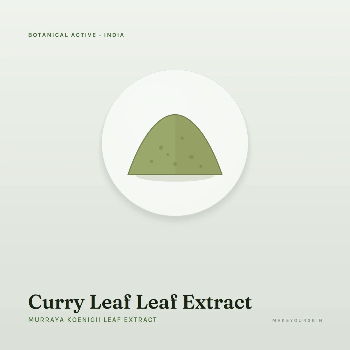 Curry Leaf Leaf Extract (Murraya Koenigii Leaf Extract) — powder, India · Ayurveda — MakeYourSkin