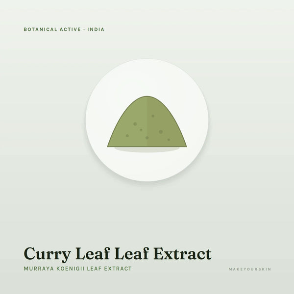 Curry Leaf Leaf Extract (Murraya Koenigii Leaf Extract) — powder, India · Ayurveda — MakeYourSkin