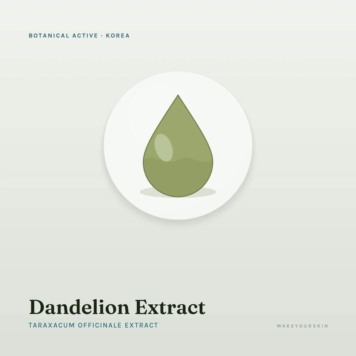 Dandelion Extract (Taraxacum Officinale Extract) — liquid, Korea · K-Beauty — MakeYourSkin