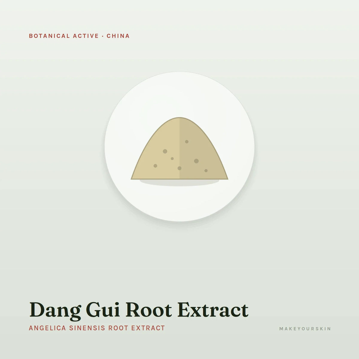 Dang Gui Root Extract (Angelica Sinensis Root Extract) — powder, China · TCM — MakeYourSkin