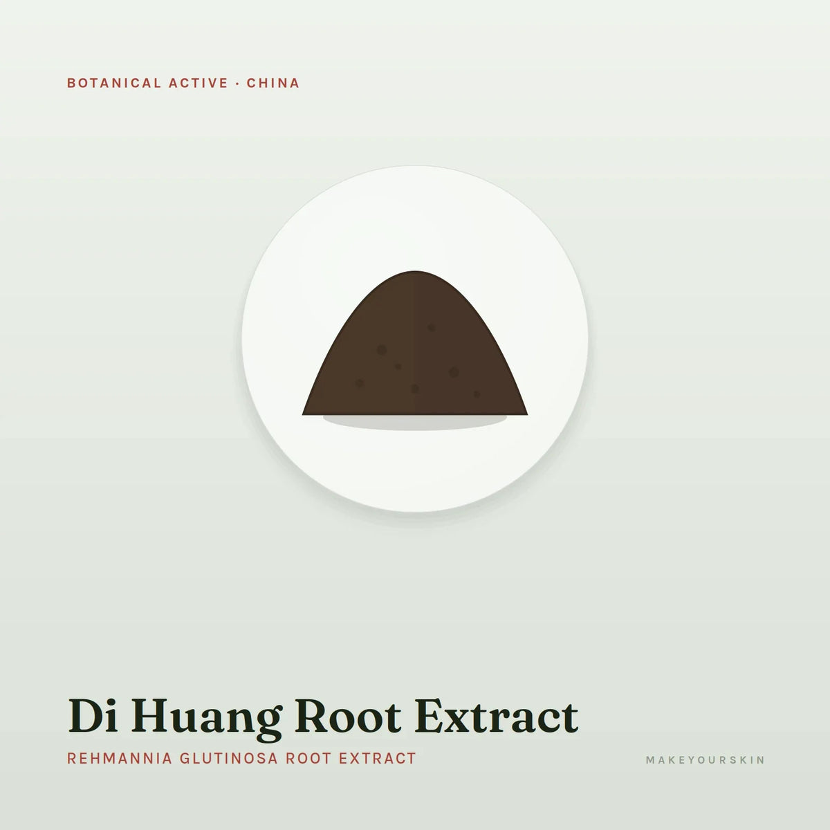 Di Huang Root Extract (Rehmannia Glutinosa Root Extract) — powder, China · TCM — MakeYourSkin