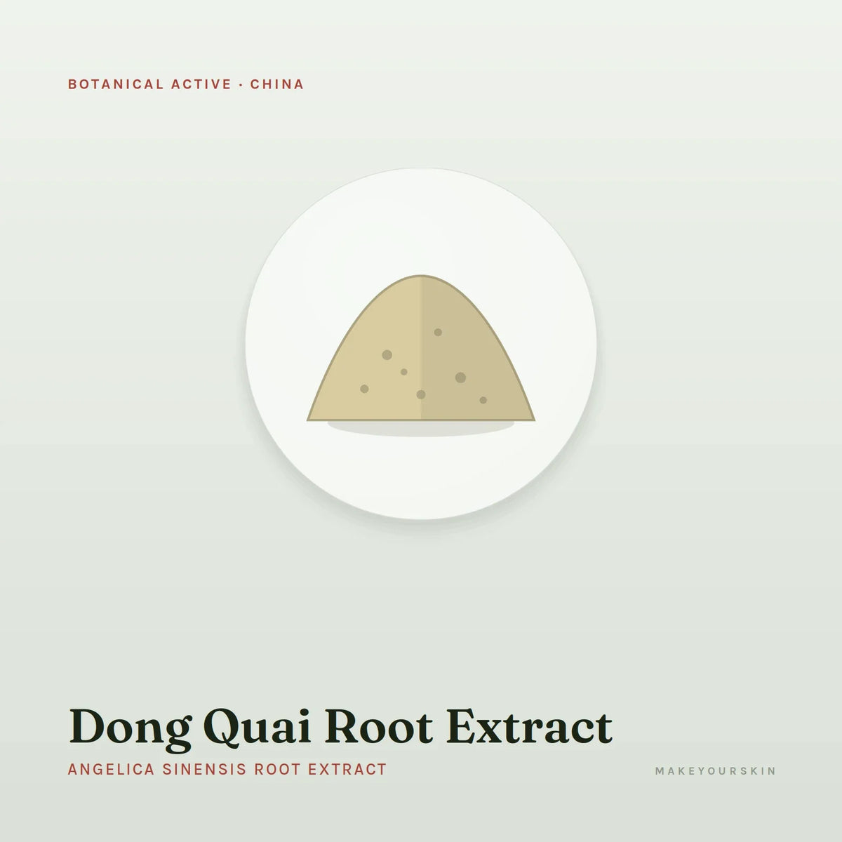 Dong Quai Root Extract (Angelica Sinensis Root Extract) — powder, China · TCM — MakeYourSkin
