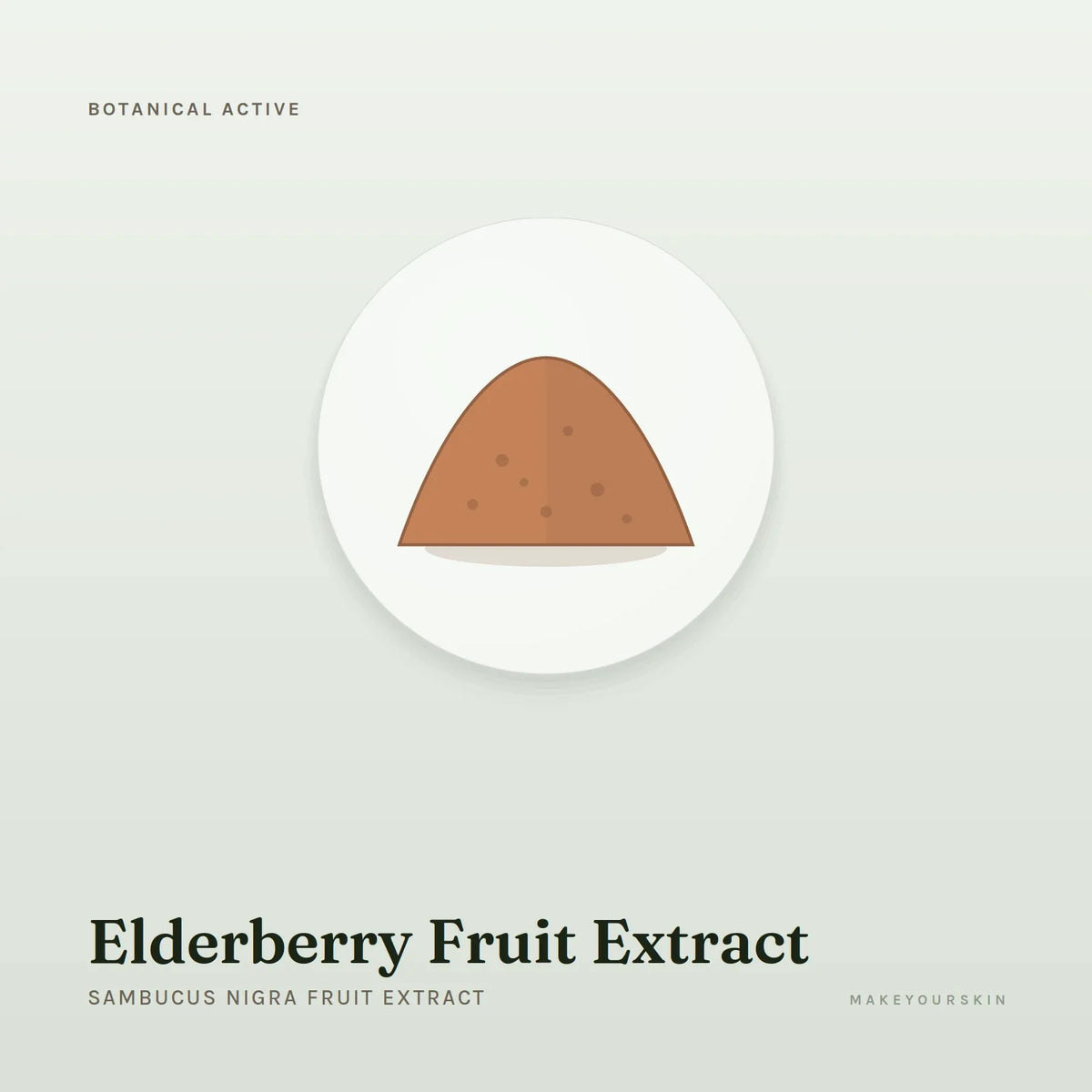 Elderberry Fruit Extract (Sambucus Nigra Fruit Extract) — powder, Global — MakeYourSkin