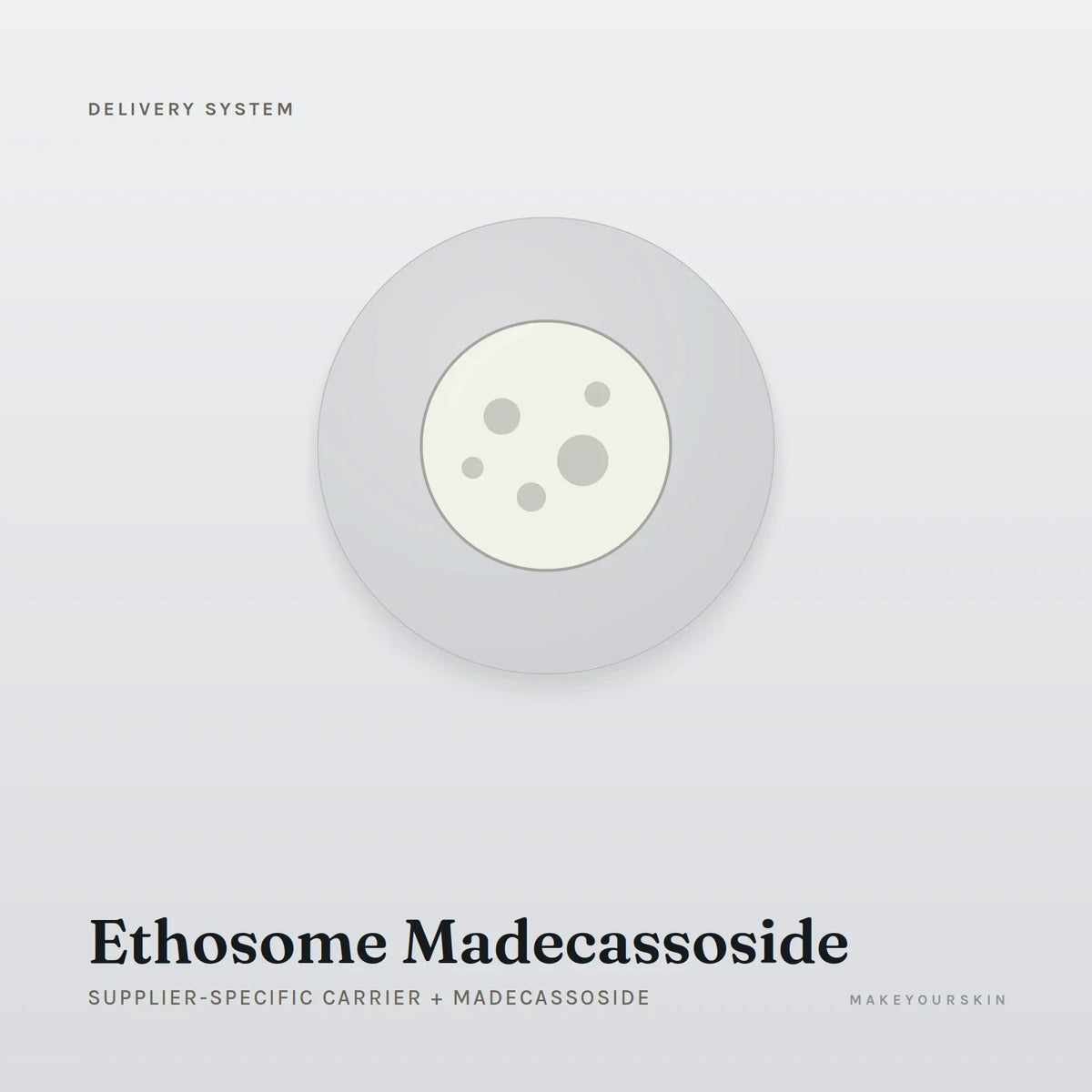 Ethosome Madecassoside (Supplier-specific carrier + Madecassoside) — dispersion, Global — MakeYourSkin