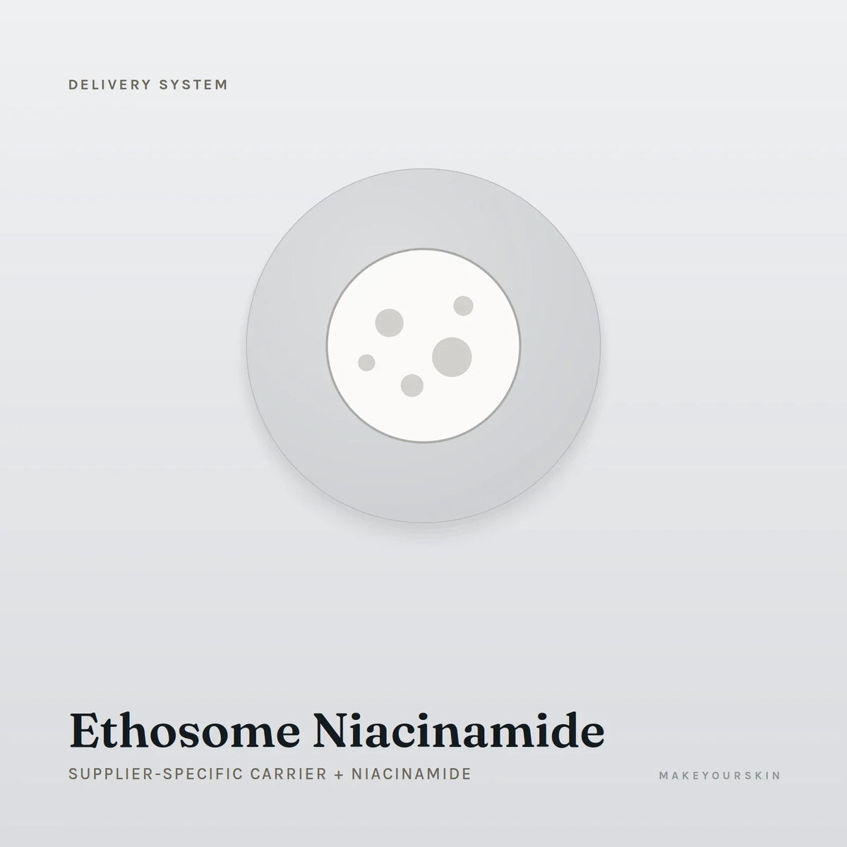 Ethosome Niacinamide (Supplier-specific carrier + Niacinamide) — dispersion, Global — MakeYourSkin