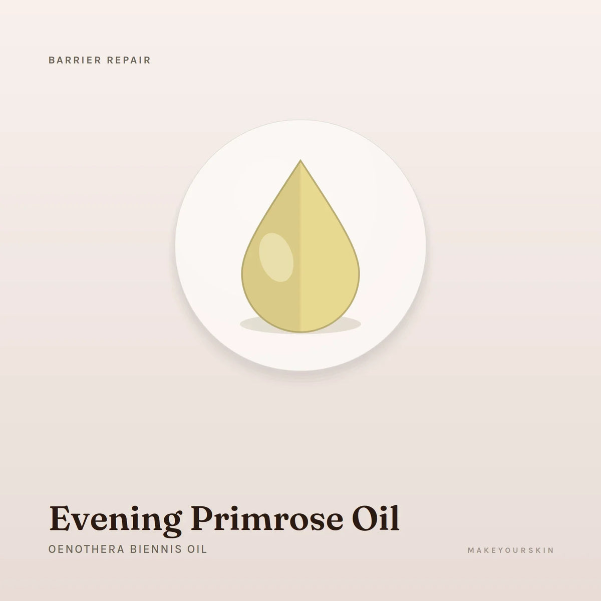 Evening Primrose Oil (Oenothera Biennis Oil) — oil, Global — MakeYourSkin