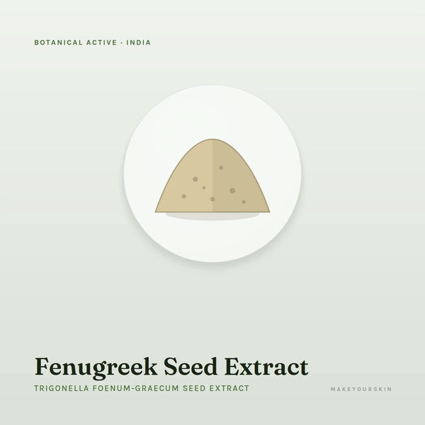 Fenugreek Seed Extract (Trigonella Foenum-Graecum Seed Extract) — powder, India · Ayurveda — MakeYourSkin