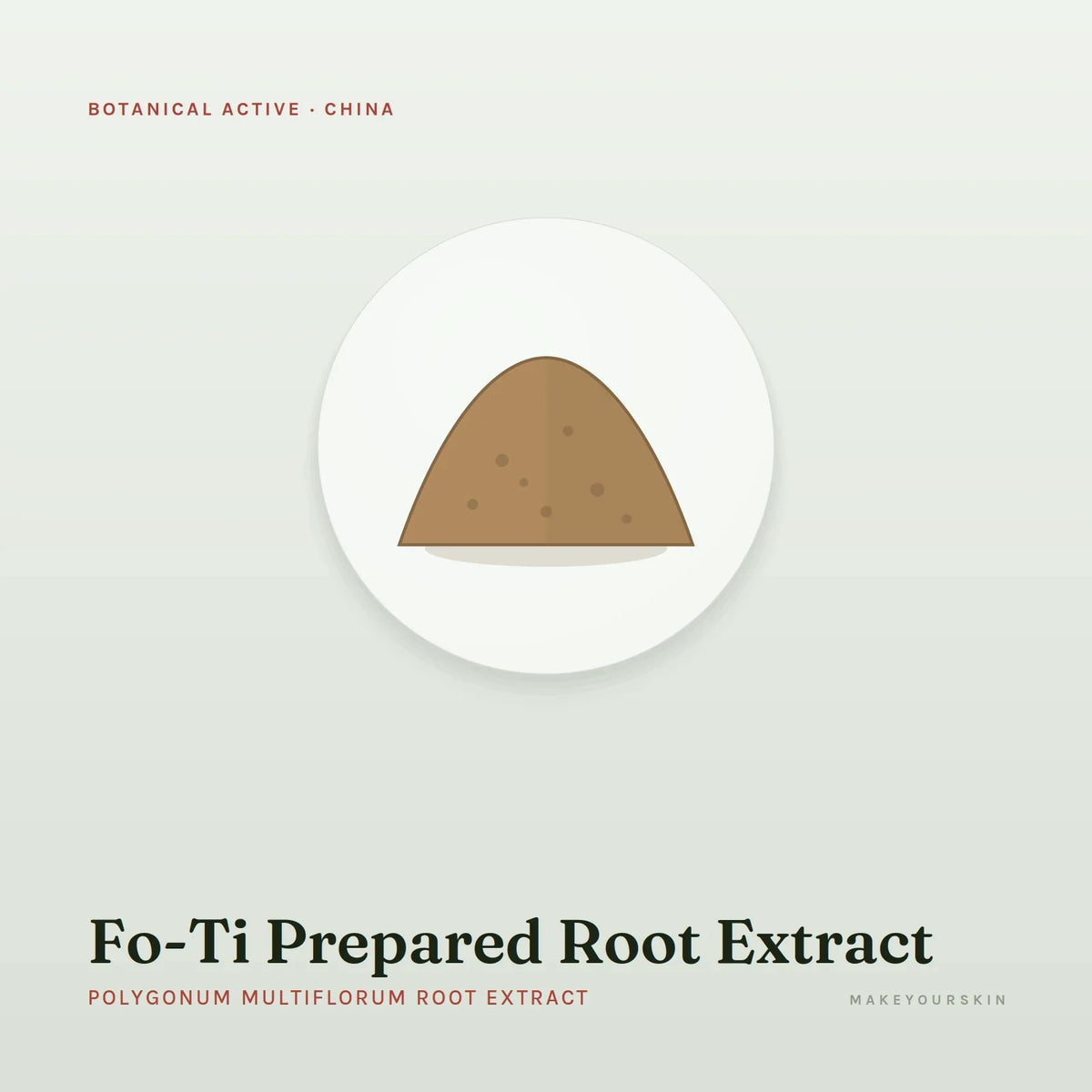 Fo-Ti Prepared Root Extract (Polygonum Multiflorum Root Extract) — powder, China · TCM — MakeYourSkin