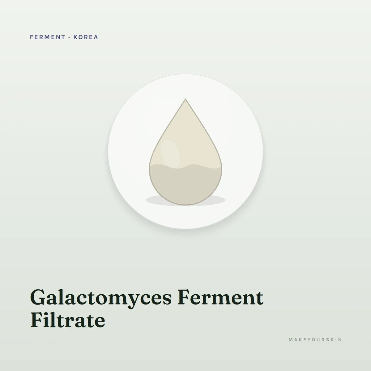 Galactomyces Ferment Filtrate — liquid, Korea · Japan — MakeYourSkin