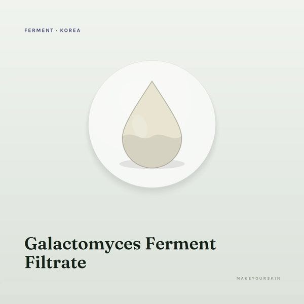 Galactomyces Ferment Filtrate — liquid, Korea · Japan — MakeYourSkin