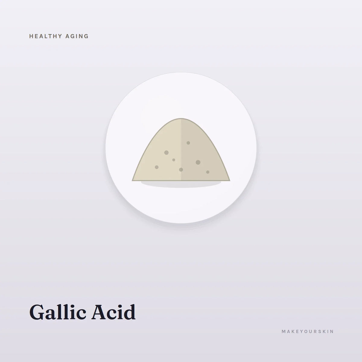 Gallic Acid — powder, Global — MakeYourSkin