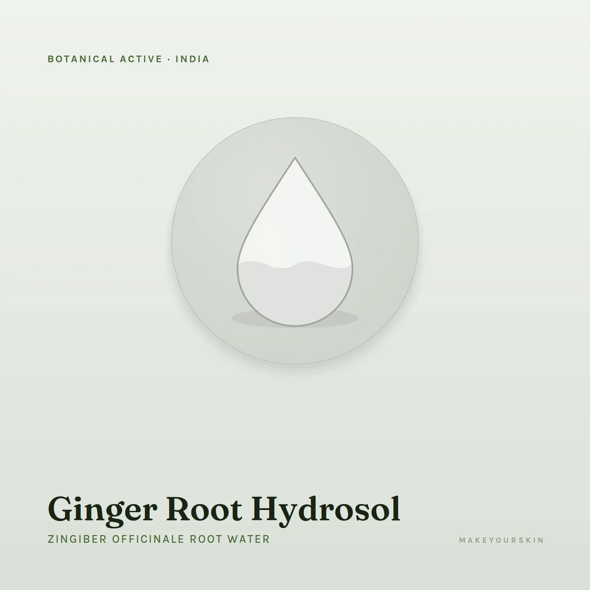 Ginger Root Hydrosol (Zingiber Officinale Root Water) — liquid, India · Ayurveda — MakeYourSkin