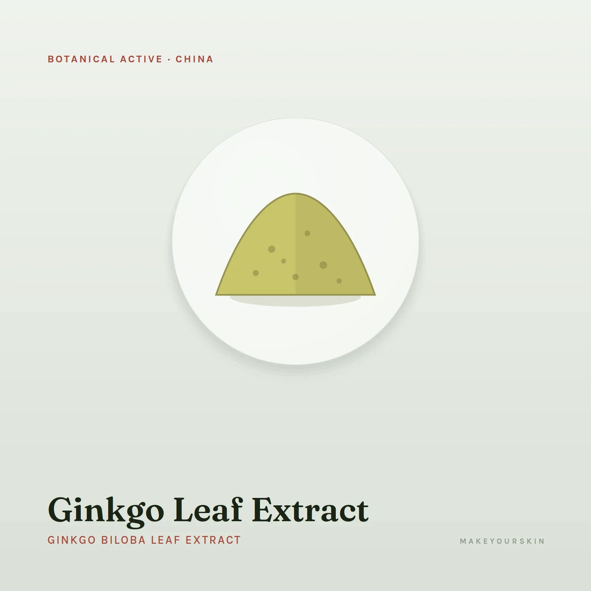 Ginkgo Leaf Extract (Ginkgo Biloba Leaf Extract) — powder, China · TCM — MakeYourSkin