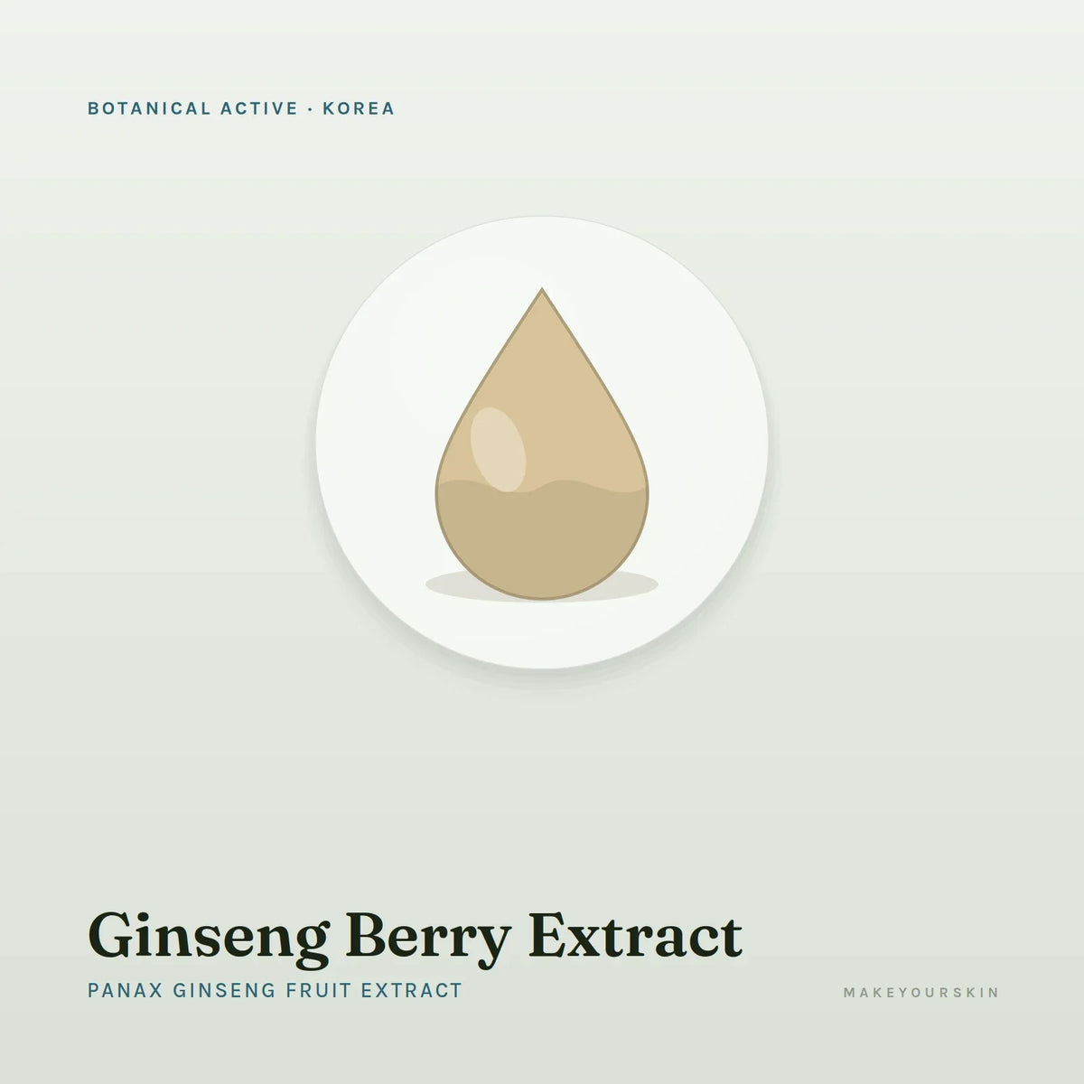 Ginseng Berry Extract (Panax Ginseng Fruit Extract) — liquid, Korea · K-Beauty — MakeYourSkin