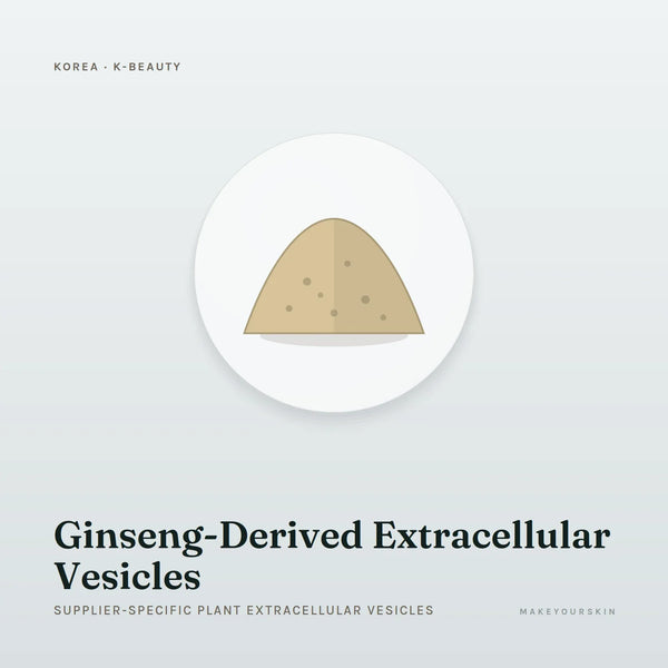 Ginseng-Derived Extracellular Vesicles (Supplier-specific plant extracellular vesicles) — powder, Global — MakeYourSkin