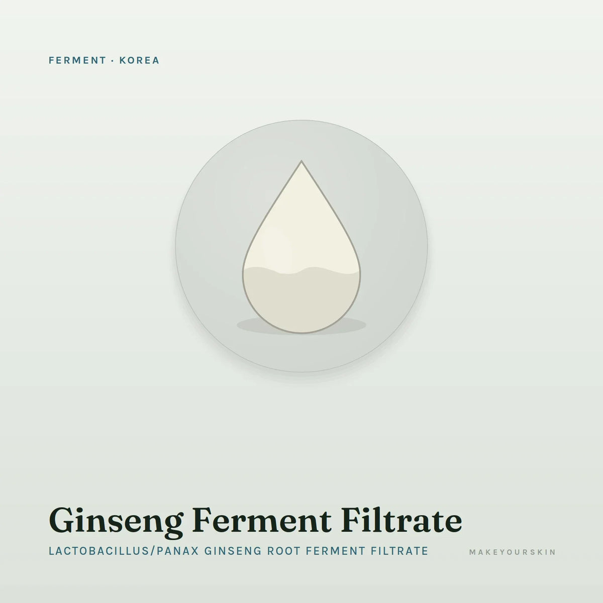 Ginseng Ferment Filtrate (Lactobacillus/Panax Ginseng Root Ferment Filtrate) — liquid, Korea · K-Beauty — MakeYourSkin
