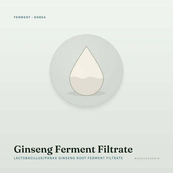 Ginseng Ferment Filtrate (Lactobacillus/Panax Ginseng Root Ferment Filtrate) — liquid, Korea · K-Beauty — MakeYourSkin