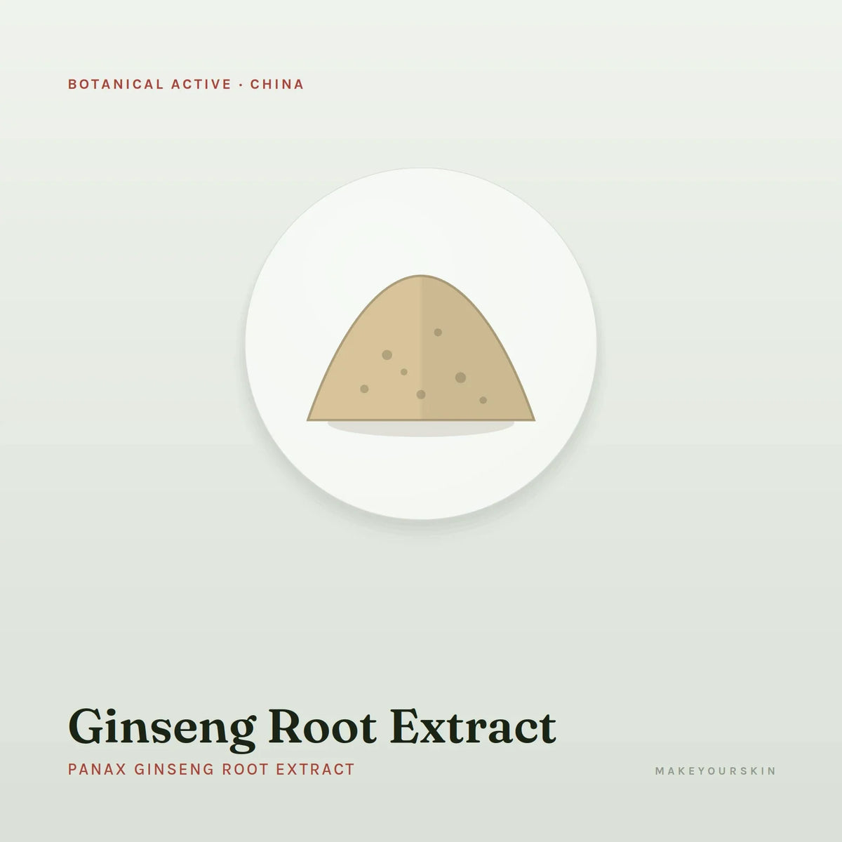 Ginseng Root Extract (Panax Ginseng Root Extract) — powder, China · TCM — MakeYourSkin