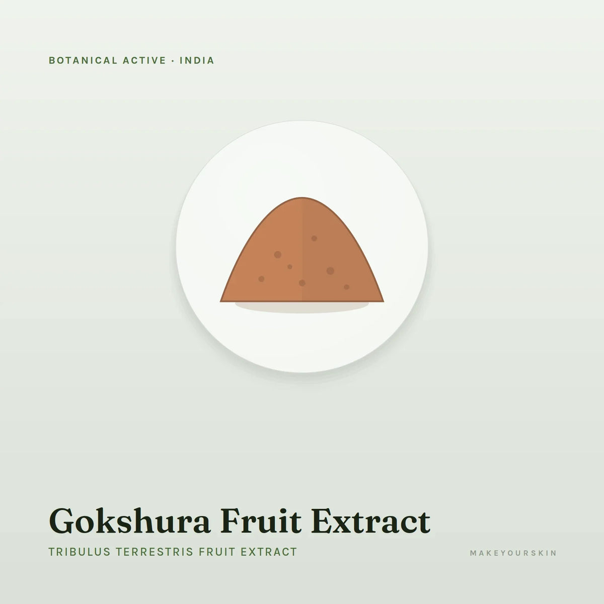 Gokshura Fruit Extract (Tribulus Terrestris Fruit Extract) — powder, India · Ayurveda — MakeYourSkin