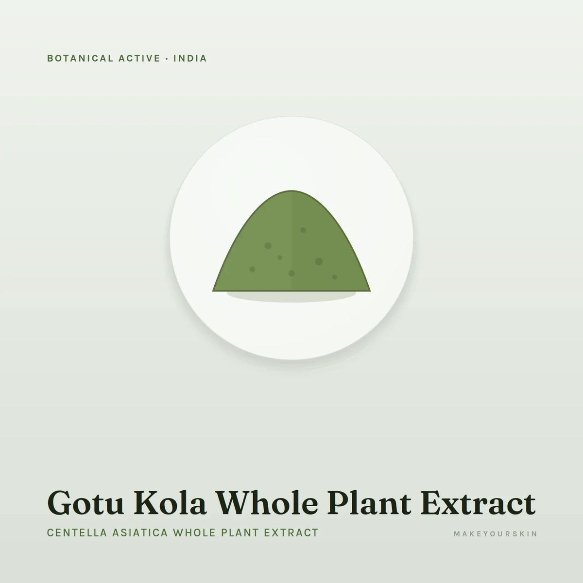 Gotu Kola Whole Plant Extract (Centella Asiatica Whole Plant Extract) — powder, India · Ayurveda — MakeYourSkin