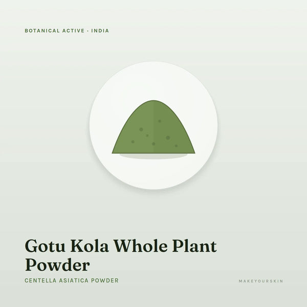 Gotu Kola Whole Plant Powder (Centella Asiatica Powder) — powder, India · Ayurveda — MakeYourSkin