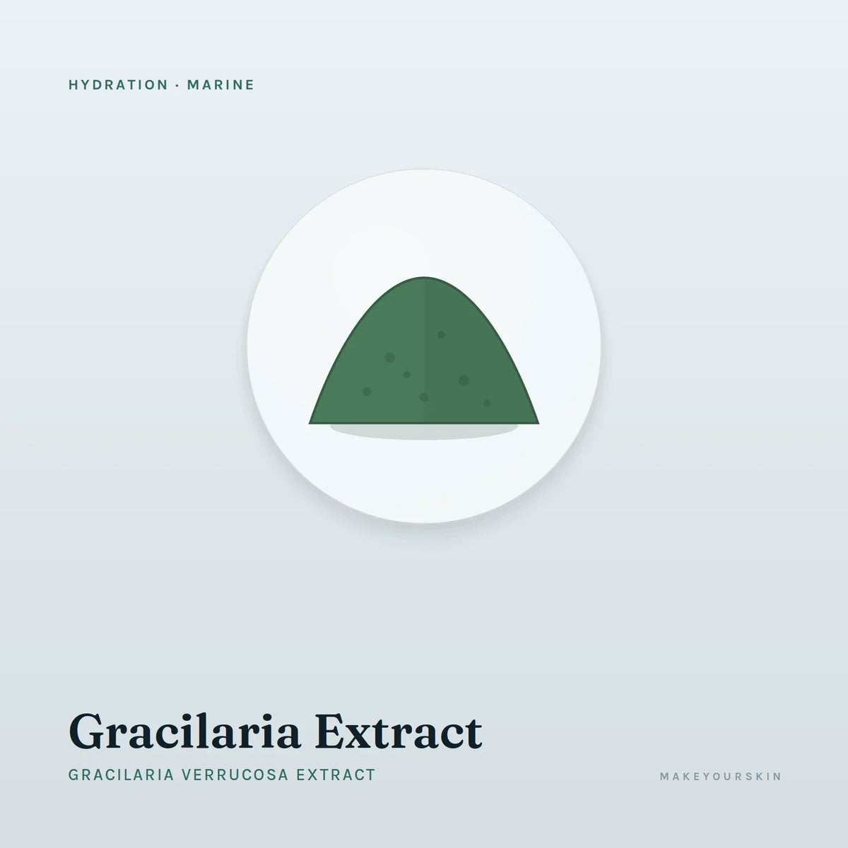 Gracilaria Extract (Gracilaria Verrucosa Extract) — powder, Marine · Algae — MakeYourSkin