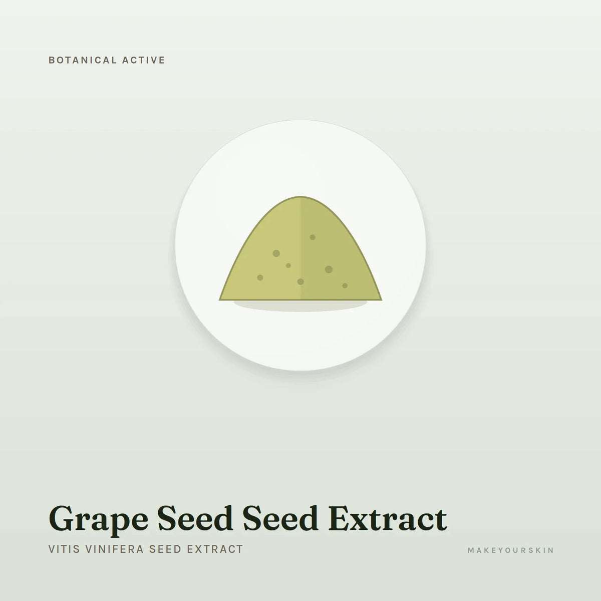 Grape Seed Seed Extract (Vitis Vinifera Seed Extract) — powder, Global — MakeYourSkin
