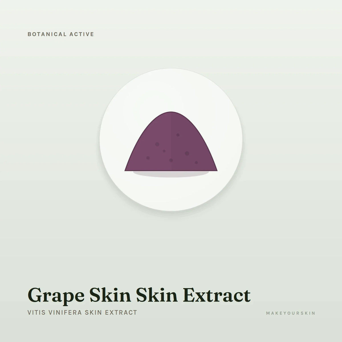 Grape Skin Skin Extract (Vitis Vinifera Skin Extract) — powder, Global — MakeYourSkin
