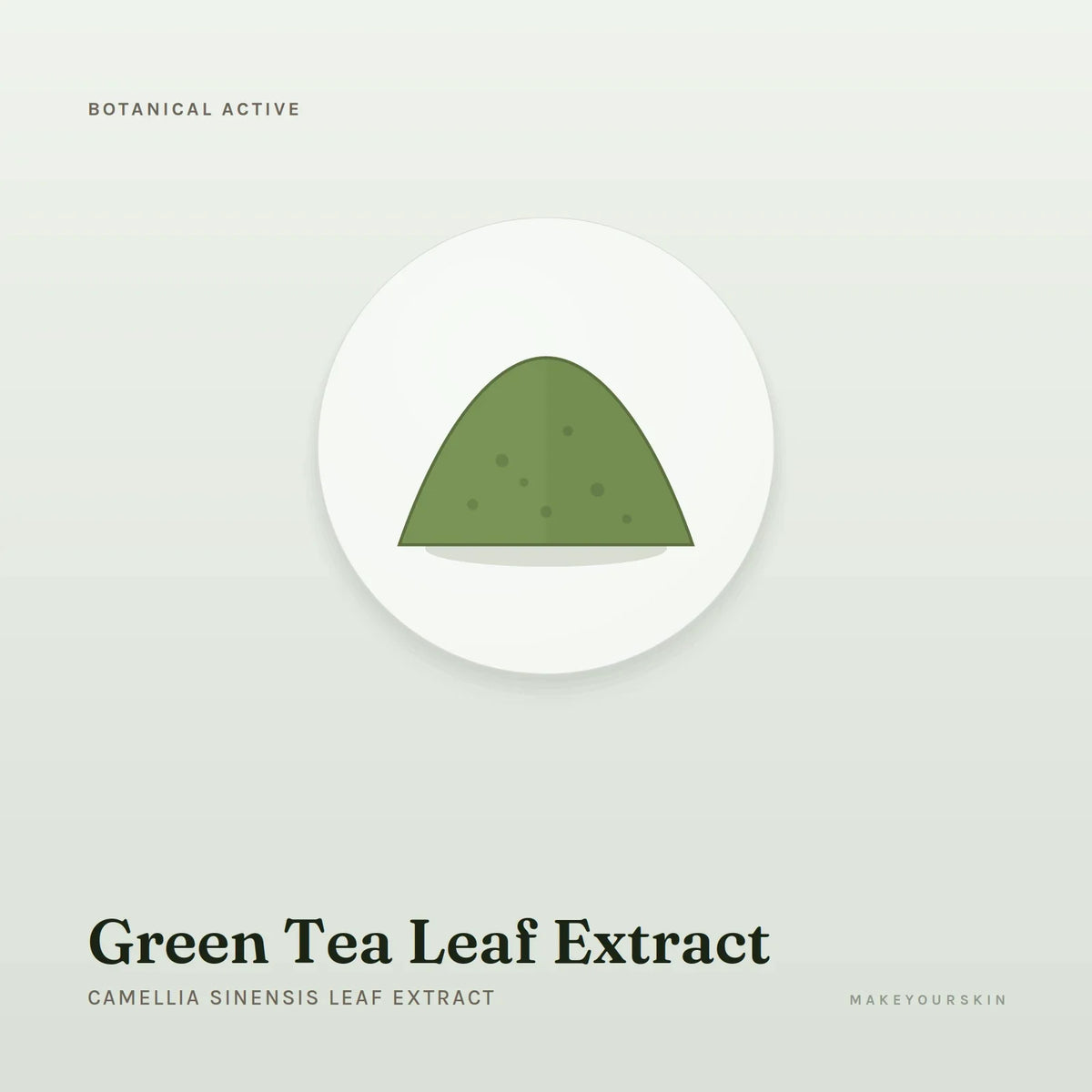 Green Tea Leaf Extract (Camellia Sinensis Leaf Extract) — powder, Global — MakeYourSkin