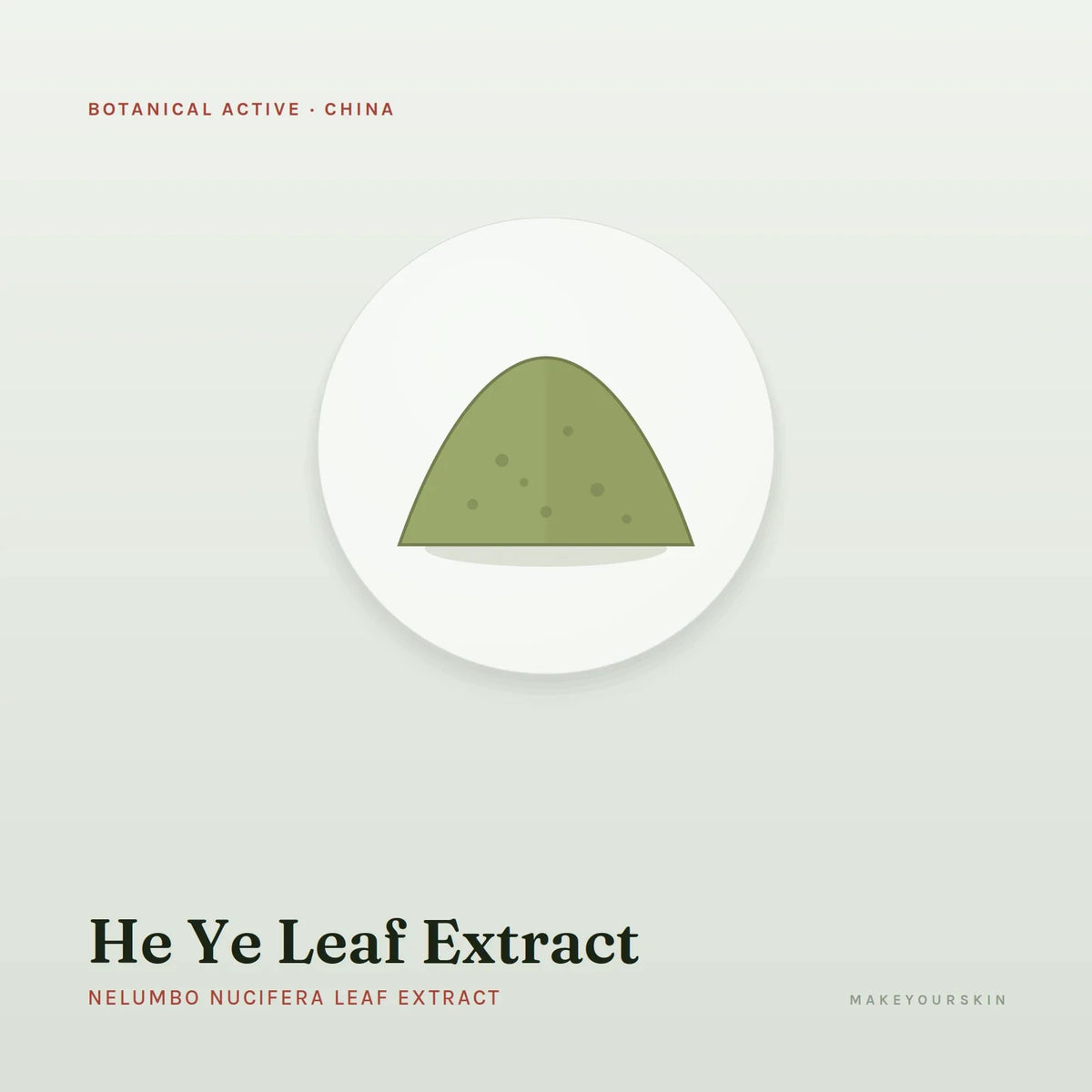 He Ye Leaf Extract (Nelumbo Nucifera Leaf Extract) — powder, China · TCM — MakeYourSkin