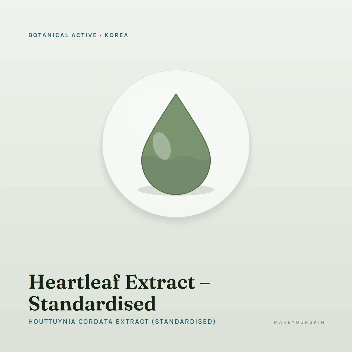 Heartleaf Extract – Standardised (Houttuynia Cordata Extract (Standardised)) — liquid, Korea · K-Beauty — MakeYourSkin