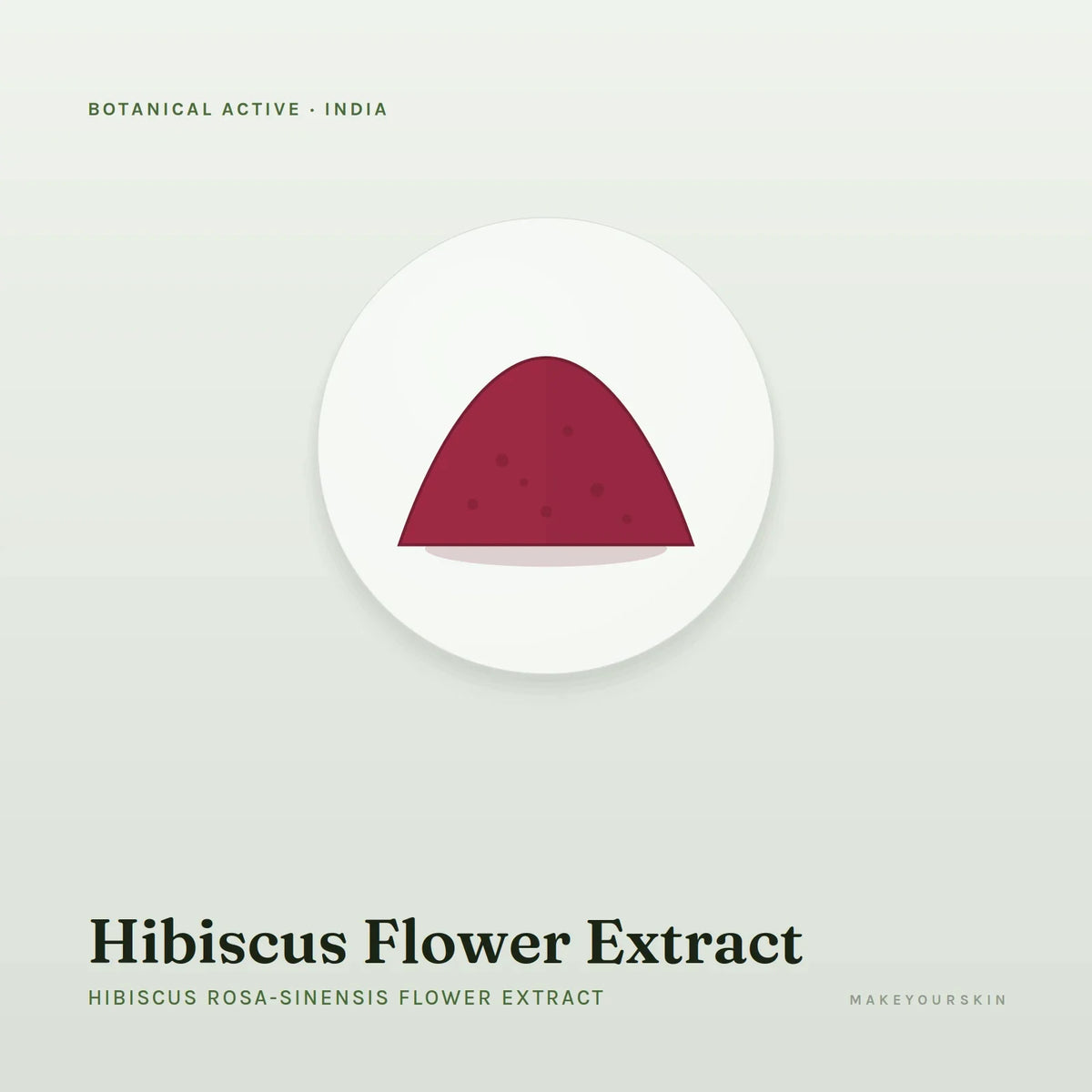 Hibiscus Flower Extract (Hibiscus Rosa-Sinensis Flower Extract) — powder, India · Ayurveda — MakeYourSkin