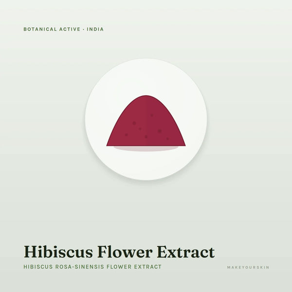 Hibiscus Flower Extract (Hibiscus Rosa-Sinensis Flower Extract) — powder, India · Ayurveda — MakeYourSkin