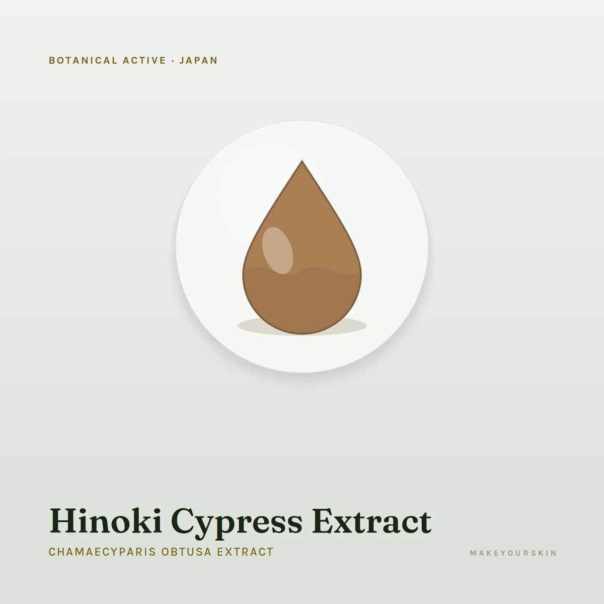 Hinoki Cypress Extract (Chamaecyparis Obtusa Extract) — liquid, Japan · J-Beauty — MakeYourSkin