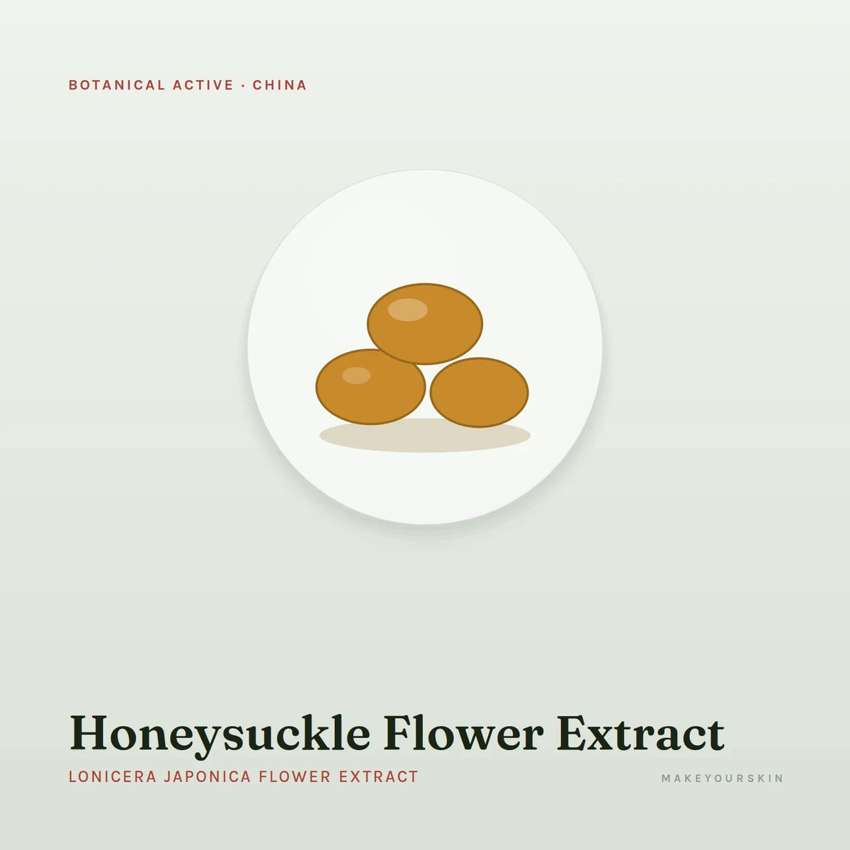 Honeysuckle Flower Extract (Lonicera Japonica Flower Extract) — wax / solid, China · TCM — MakeYourSkin
