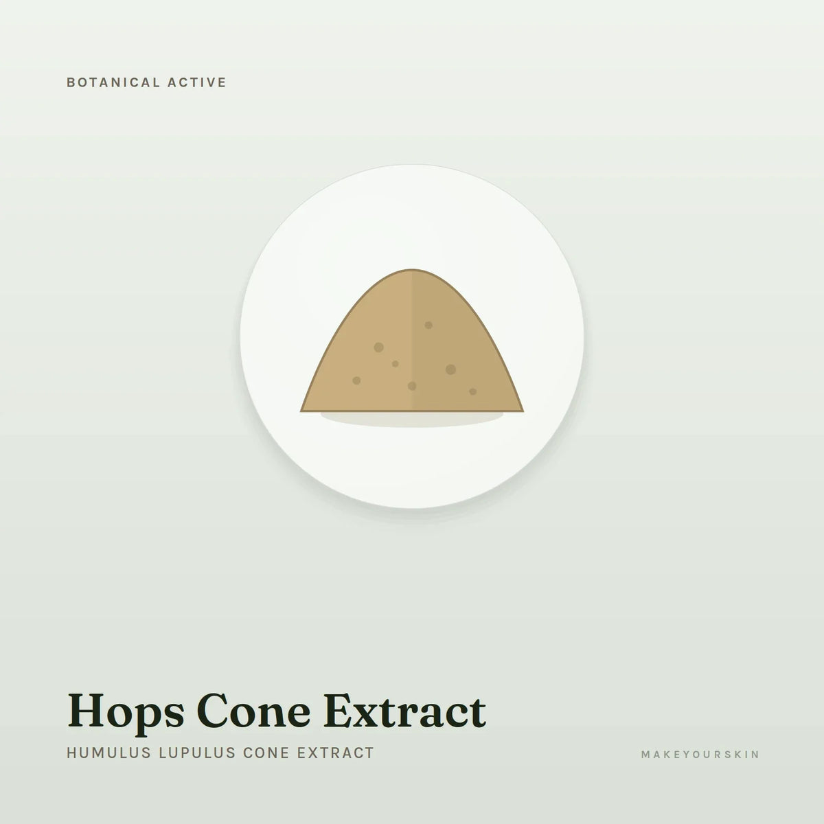 Hops Cone Extract (Humulus Lupulus Cone Extract) — powder, Global — MakeYourSkin