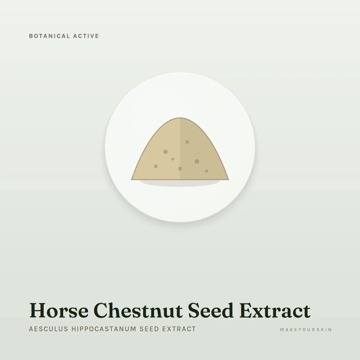 Horse Chestnut Seed Extract (Aesculus Hippocastanum Seed Extract) — powder, Global — MakeYourSkin