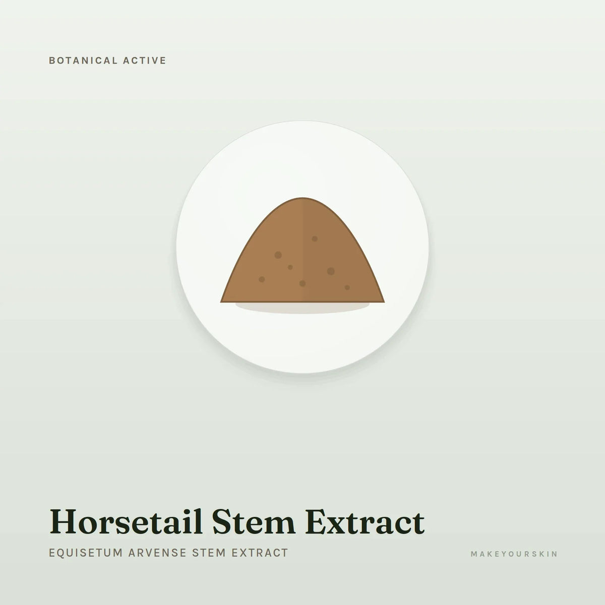 Horsetail Stem Extract (Equisetum Arvense Stem Extract) — powder, Global — MakeYourSkin