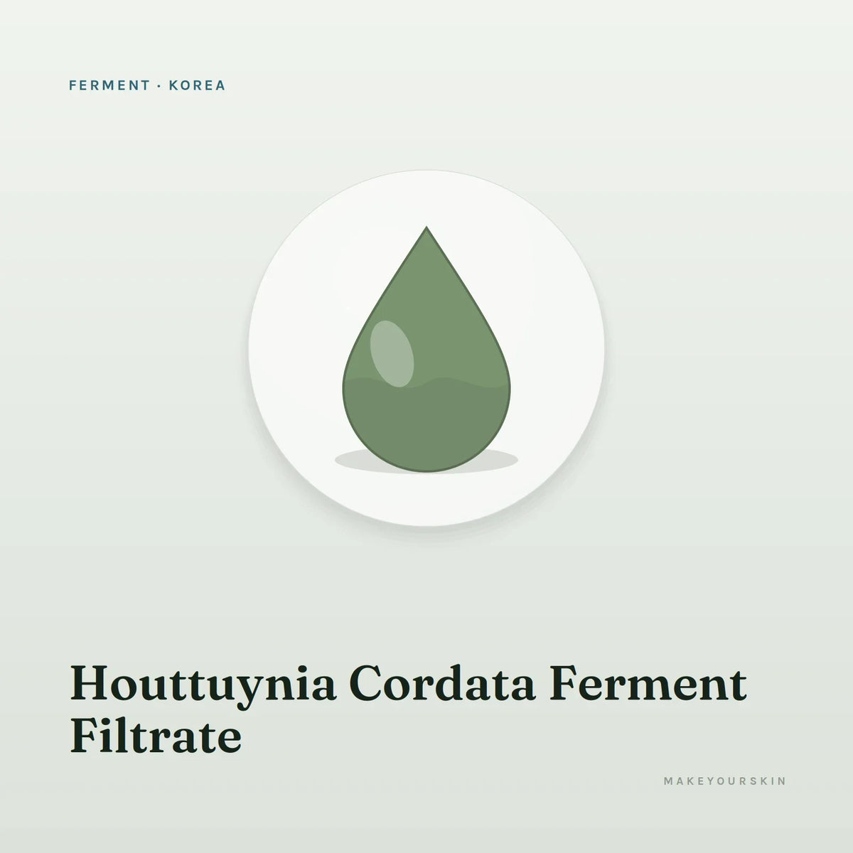 Houttuynia Cordata Ferment Filtrate — liquid, Korea · K-Beauty — MakeYourSkin