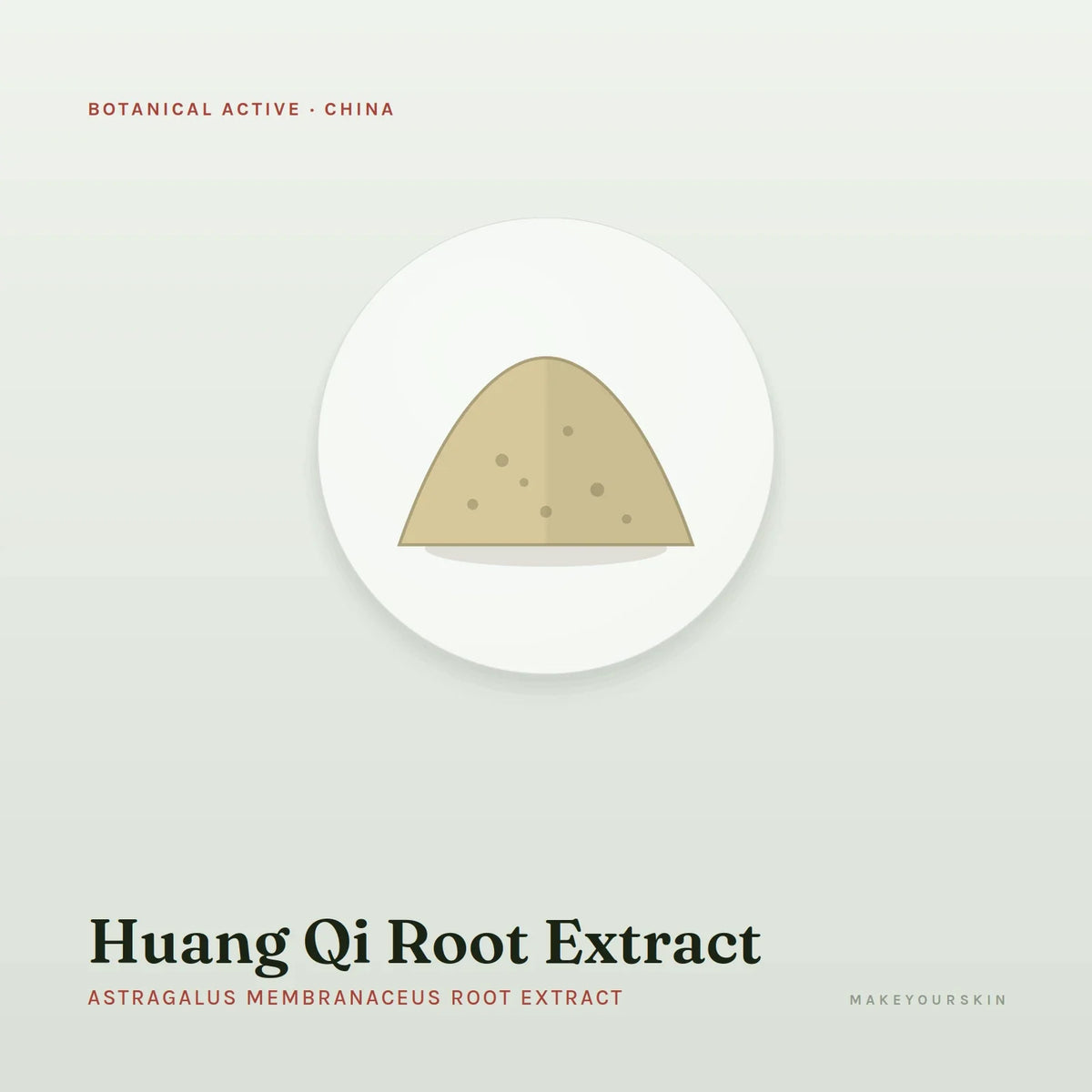 Huang Qi Root Extract (Astragalus Membranaceus Root Extract) — powder, China · TCM — MakeYourSkin