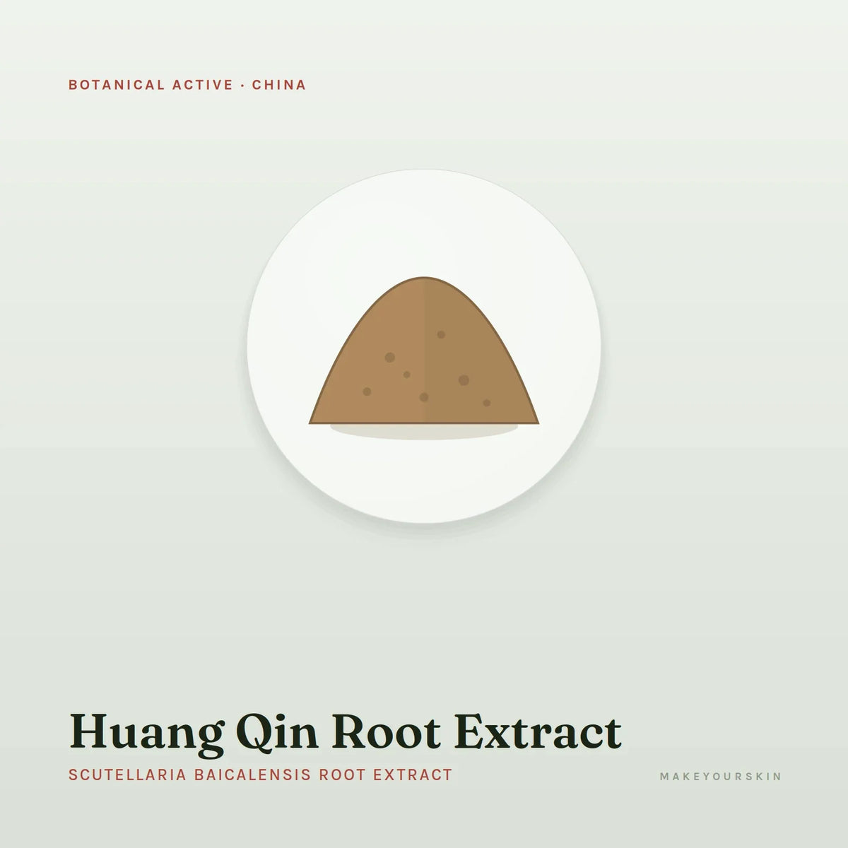 Huang Qin Root Extract (Scutellaria Baicalensis Root Extract) — powder, China · TCM — MakeYourSkin