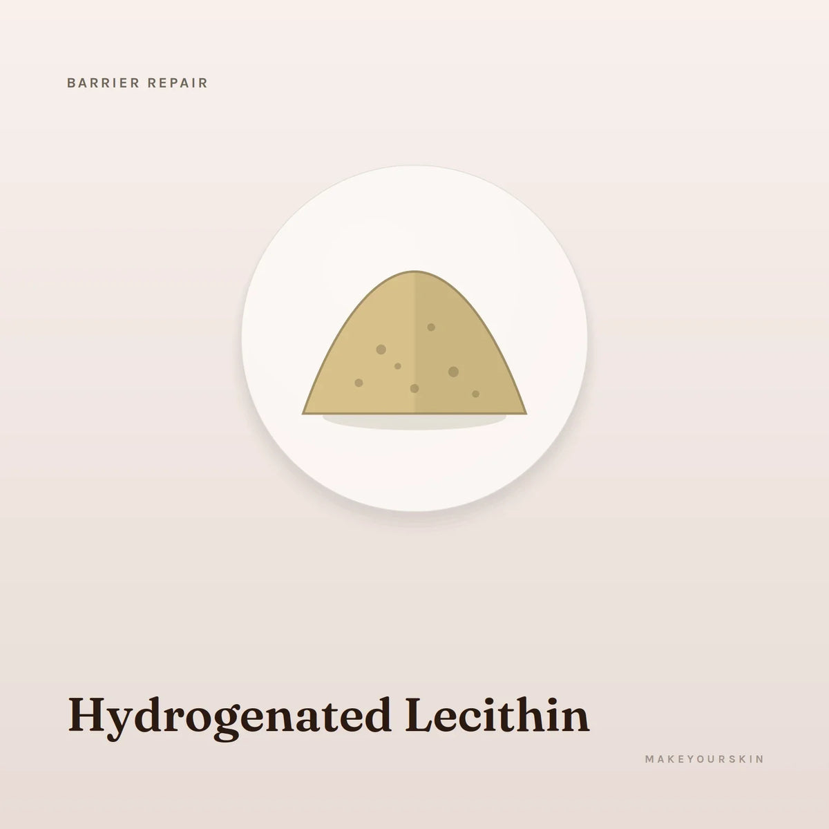 Hydrogenated Lecithin — powder, Global — MakeYourSkin