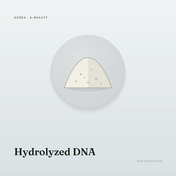 Hydrolyzed DNA — powder, Global — MakeYourSkin