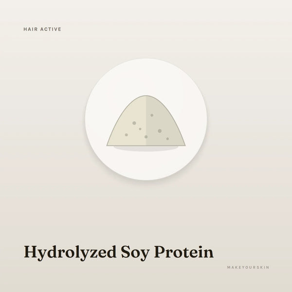 Hydrolyzed Soy Protein — powder, Global — MakeYourSkin